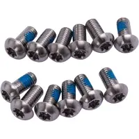 Sram Jeu De Vis De Plateau Rotor Bolt Titanium T25 12 Unités