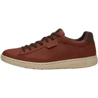 Timberland Baskets basses marron