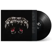 Warner Music LP de - Dead Company - pour Indifférent - Standard - Taille Standard