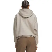 Under Armour Sweat à Capuche Icon Fleece