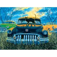 Sunsout Puzzle Spooky Tooth - 1000 pièces
