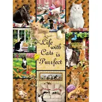 Sunsout Puzzle Une Vie Parfaite grâce aux Chats - 1000 pièces