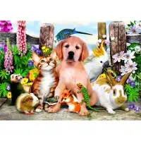 Bluebird Puzzle Casse-tête Good Companions - 500 Teile bunt