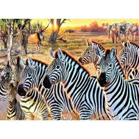 Sunsout Puzzle Pièces XXL - Zèbres Et Amis - 500 à 999 pièces