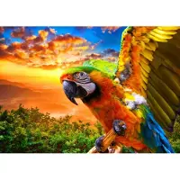 Bluebird Puzzle Puzzle Parrot - 1000 pièces