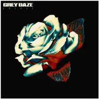 Universal Music Grey Daze - Amends Lp