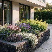 Green Boutiq Vasteplant - Borderpakket - Bodembedekend - Diversen - Soorten en kleuren - 12 Planten - Pot 11cm - Hoogte 15-25cm