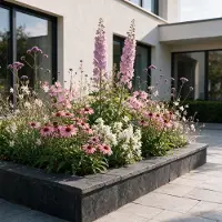 Green Boutiq Vasteplant - Borderpakket - Bijen en vlinderlokkend - Diversen - Soorten en kleuren - 12 Planten - Pot 11cm - Hoogte 15-25cm