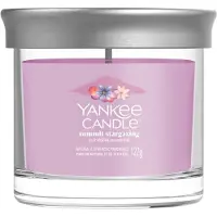 Yankee candle Summit Stargazing bougie parfumée Signature 122 g