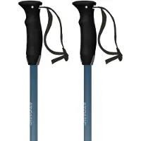 Atomic Revent Telescopic Junior Poles Noir 75-105 cm Enfants
