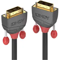 Lindy Single Link Dvi Cable 15 M Argenté