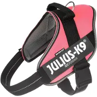 JULIUS K-9 Idc Powair Dog Harness Rose XL-2