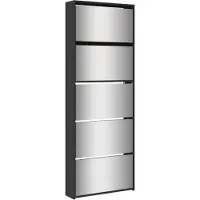 vidaXL Armoire à chaussures avec miroir 5 niveaux noir 63x17x169,5 cm