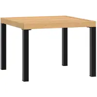 vidaXL Table basse de jardin 55x55x39,5 cm Acier revêtu par poudre
