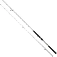 Daiwa Canne Spinning Saltist Seabass