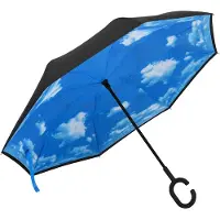 vidaXL Parapluie à poignée en C Noir 108 cm