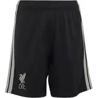 Adidas Pantalon de sport 'FC Liverpool 26/27' gris clair / noir