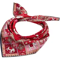 Roeckl Foulard mélange de couleurs