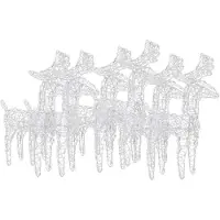 vidaXL Rennes à LED 6 pcs. Multicolore 240 LEDs Acrylique