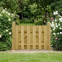vidaXL Porte De Jardin 100 X 75 Cm Bois De Pin Massif Vert