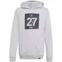 Adidas Sweat de sport 'Audi Formula One Team Gabriel Bortoleto' anthracite / gris clair / rouge clair