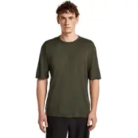 Icebreaker Merino 150 Tech Lite Relaxed Short Sleeve T-shirt Vert S Homme
