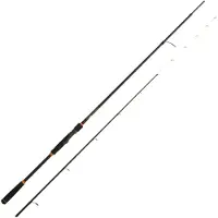 Cinnetic Canne Jigging Rextail Tenya 250