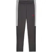 Puma Pantalon d'entraînement IndividualLiga