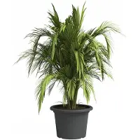 Artevasi Pot De Fleurs Venezia Cilindro - 50 Cm - Gris Anthracite