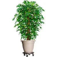 vidaXL Chariots à plantes avec roues 2 pcs Diamètre 40 cm Noir 275 kg