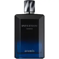 Aramis Intuition Intense EDP eau de parfum intense pour homme 150 ml