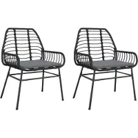 vidaXL Chaises de jardin 2 pcs. avec coussins noir Poly rotin