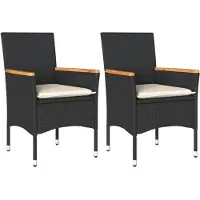 vidaXL Chaises de jardin avec coussins 2 pcs. noir poly rotin