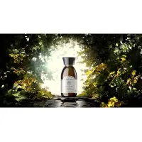 Alqvimia Huile Corporelle Raffermissante 150ml