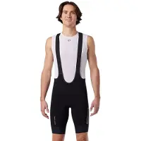 Pearl Izumi Expedition Pro Bib Shorts Noir S Homme