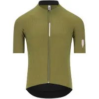Q36.5 Dottore Pro Short Sleeve Jersey Vert M Homme
