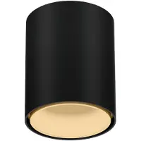 Wever & Ducre Ray Mini LED 1.0 Plafonnier Black Matt|Champagne | 3000 K