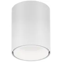 Wever & Ducre Ray Mini LED 1.0 Plafonnier White Matt | 3000 K