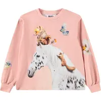 Molo Blouse - Raffy - Entourage - - 6 ans (116) - Blouse