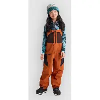 Burton Pantalon Outbeam 3l Bib