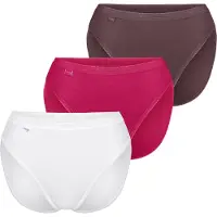 Sloggi Slip ' Originals Basic ' marron / taupe / baie / blanc