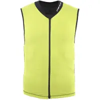 Dainese Gilet De Protection Scarabeo Auxagon