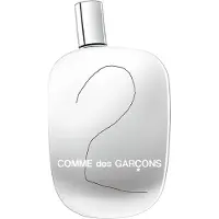 Comme des Garcons 2