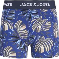 Jack & Jones Junior Sous-vêtements 'JACHENDO' bleu / bleu marine / vert pastel / blanc