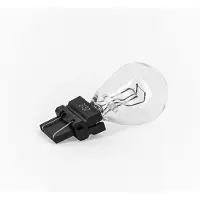 Kyoto Ampoule 12v 21/5w 10 Unités