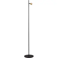 Masterlight Lampe de pied Talana noir avec or