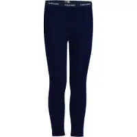 Icebreaker Leggings 260 Tech Merino