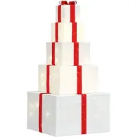 vidaXL Décoration de Noël Boîte cadeau 250 LEDs blanc chaud