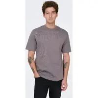 Only & Sons T-Shirt 'ONSFred' gris foncé