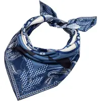 Roeckl Foulard mélange de couleurs